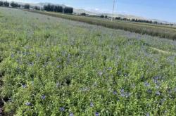 赤峰牛營子露營基地電話號碼