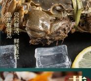 赤峰同城賣螃蟹電話多少啊