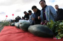 赤峰收購(gòu)稻谷的電話號(hào)碼是多少