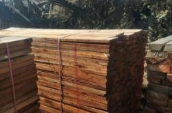 赤峰蒸面條加工廠電話號(hào)碼