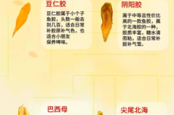 赤峰膠類大全電話