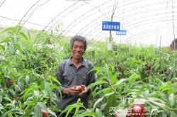 赤峰蔬菜大棚安裝電話多少號(hào)