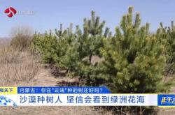 赤峰種樹基地在哪里啊電話多少