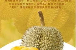 赤峰液氮榴蓮批發(fā)廠家電話號(hào)碼