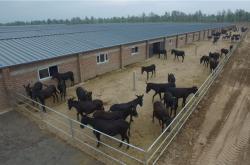 赤峰貧困戶打哪個(gè)電話查詢