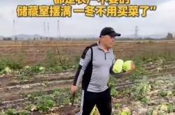 赤峰大白菜售賣店電話號(hào)碼