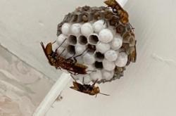 赤峰蜂巢酒吧電話多少號碼