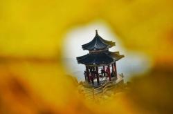 赤峰艷林婚禮城電話地址查詢(xún)