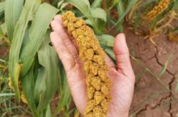 赤峰麥子工作室地址電話號碼