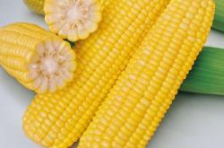 赤峰趙燕水果批發(fā)電話號碼