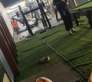 赤峰哈撒爾健身會(huì)所電話號(hào)碼