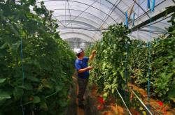 赤峰市智慧教育云