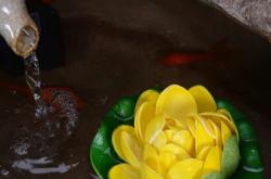 赤峰流水石擺件店電話號(hào)碼