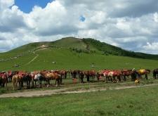內(nèi)蒙古赤峰固定電話區(qū)號(hào)是什么