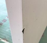 赤峰天悅建材市場電話號碼