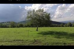 赤峰貢格爾草原民宿電話號(hào)碼