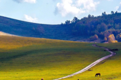 赤峰謙禾畫室電話號(hào)碼查詢