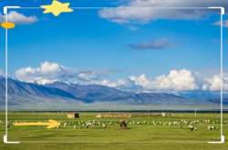 赤峰松山區(qū)騰達(dá)社區(qū)電話號(hào)碼