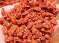 赤峰市沙棘果廠地址電話號碼