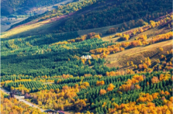 建平去赤峰政策查詢電話號(hào)碼