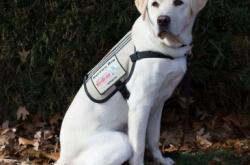 赤峰狗肉養(yǎng)殖場電話地址查詢