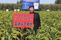 赤峰谷子銷售電話是多少號