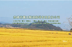 赤峰綠豆旗艦店地址電話號(hào)碼