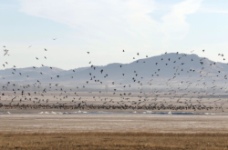 赤峰藍迪汽貿(mào)電話號碼查詢