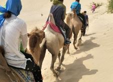 赤峰玉龍商業(yè)步行街電話號碼