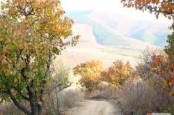 赤峰牛營子洗車店電話號碼