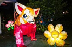 赤峰公園彩燈價格查詢電話號碼