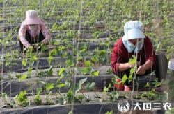 赤峰大棚釣魚地址電話是多少號