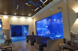 赤峰永夜兒童樂(lè)園電話地址查詢