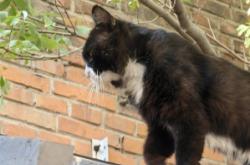 赤峰送水貓地址電話(huà)查詢(xún)號(hào)碼