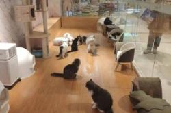 赤峰寵物店優(yōu)惠團(tuán)購網(wǎng)電話號碼