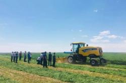 赤峰小黃蜂家政電話(huà)多少號(hào)