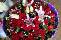 赤峰花卉團購平臺電話號碼