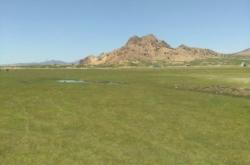 赤峰坤港賓館電話(huà)號(hào)碼多少