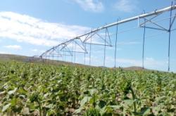 赤峰市天澤鎮(zhèn)政府電話號碼