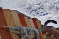 赤峰博鳥類博物館電話號(hào)碼