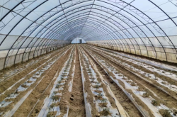 赤峰市蔬菜大棚基地