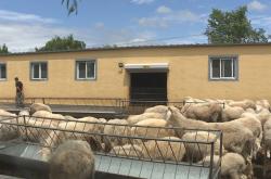 赤峰犬類養(yǎng)殖基地