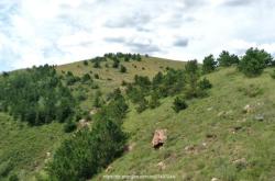 赤峰牛家營子山莊電話號碼查詢