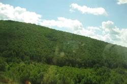 赤峰艾麗造型店地址電話號碼