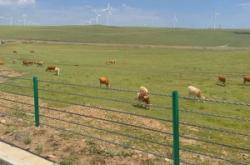 赤峰醉美景區(qū)電話號碼多少