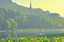 沈丘到赤峰旅游團電話號碼