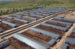 赤峰眼睫毛加工廠電話號碼