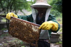 赤峰紅山區(qū)采摘園電話號(hào)碼