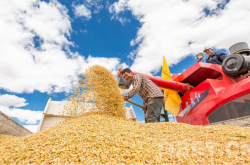 赤峰老劉頭采摘園電話多少號(hào)