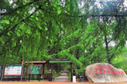 赤峰青少年校外基地電話號(hào)碼